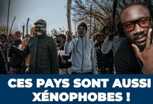 Carte de l’Afrique illustrant les pays évoqués dans le débat sur la xénophobie en Afrique