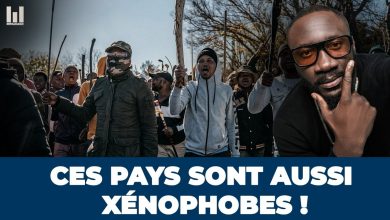 Carte de l’Afrique illustrant les pays évoqués dans le débat sur la xénophobie en Afrique