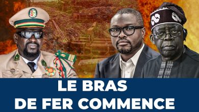 Carte illustrant la frontière entre le Bénin et le Niger